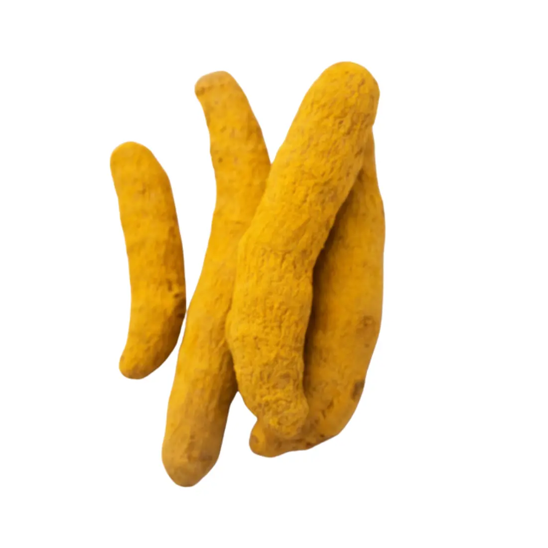 Turmeric Round