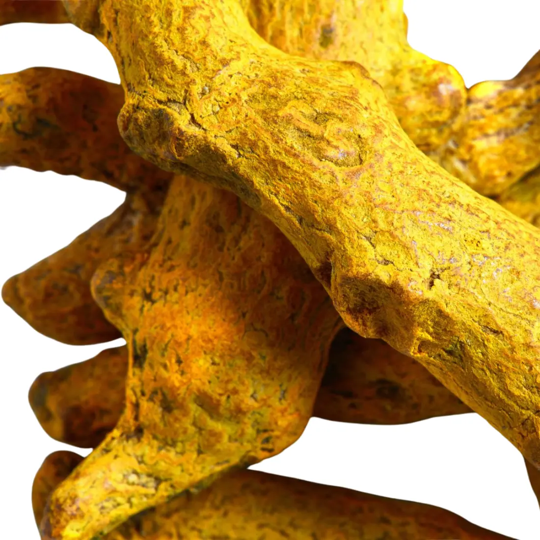 Turmeric Round - Image 2